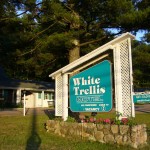 Welcome to the White Trellis Motel